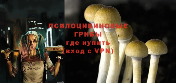 PSILOCYBIN Баксан