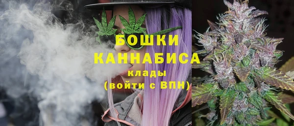 ГАЛЛЮЦИНОГЕННЫЕ ГРИБЫ Белокуриха