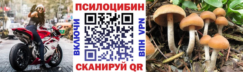 Купить где  Амурск  Галлюциногенные грибы MAGIC MUSHROOMS 